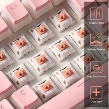 Load image into Gallery viewer, Holy Panda x LTC Switches (30 Pcs)