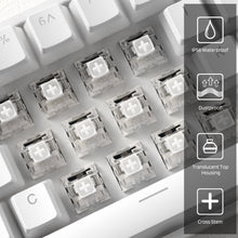 Load image into Gallery viewer, Kailh x LTC Box Switches White (30 Pcs)