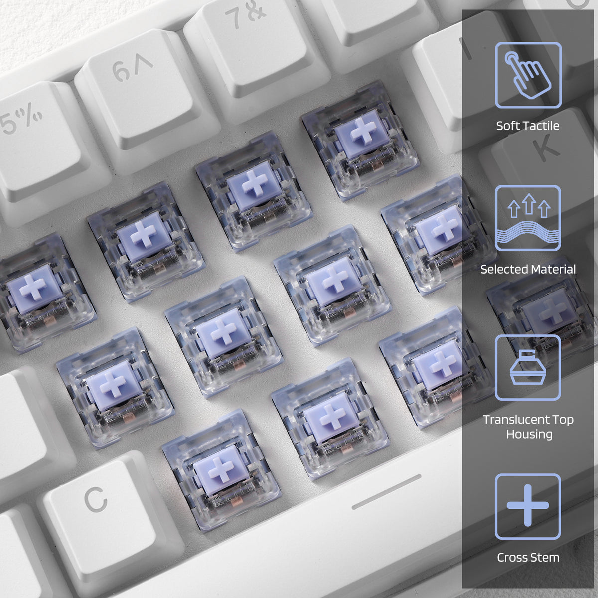 Kailh x LTC Polia Switch (30 Pcs)