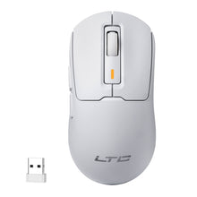 Load image into Gallery viewer, LTC GM024 Mouse
