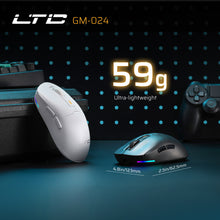 Load image into Gallery viewer, LTC GM024 Mouse