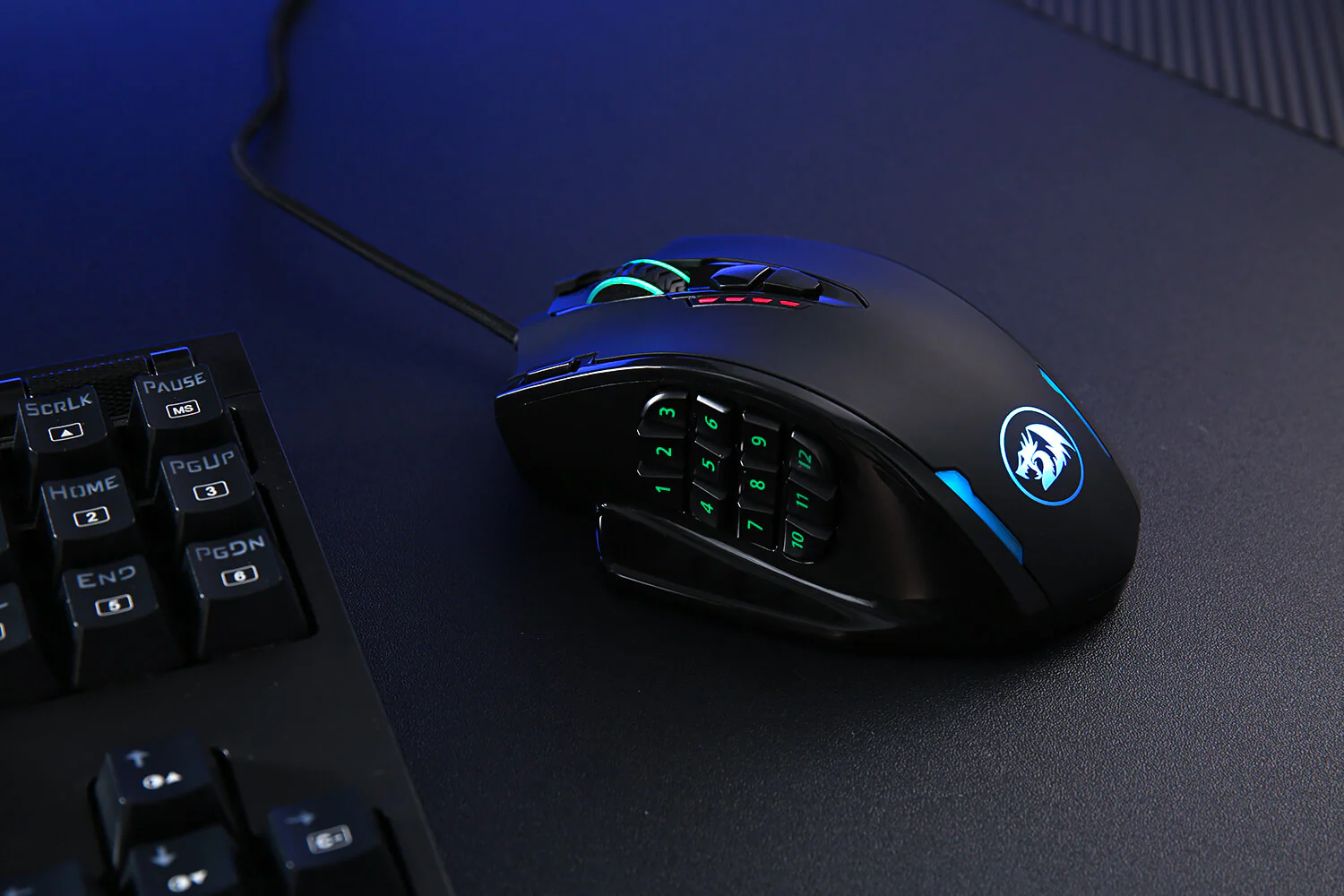 RGB Backlight & Programmable Buttons