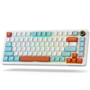 LTC Nimbleback NB832 Wireless 75% Gasket Mechanical Keyboard