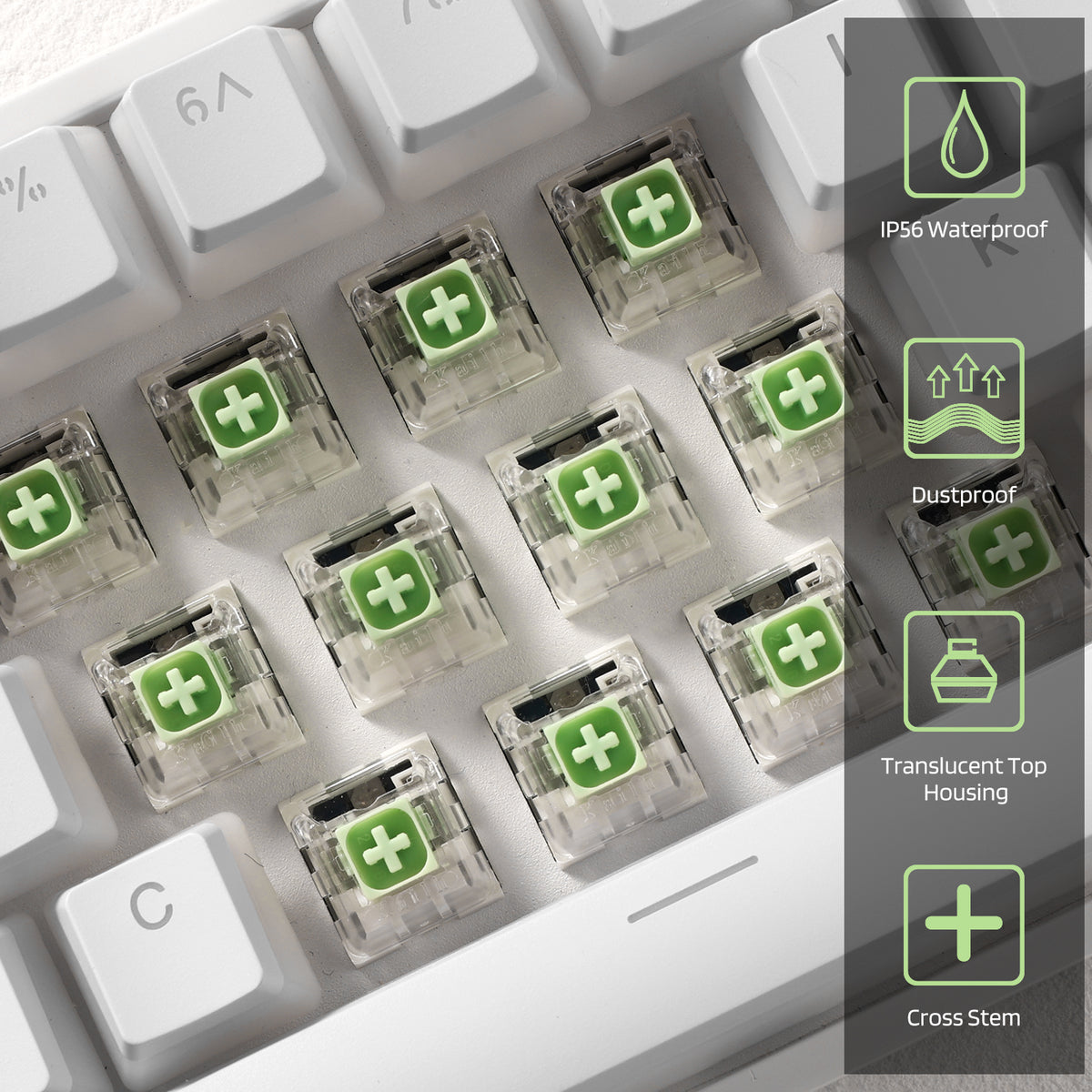 Kailh x LTC Box Switches Jade (30 Pcs) – ltc-shop