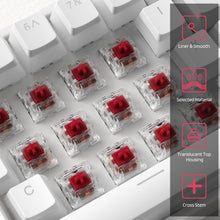 Load image into Gallery viewer, Kailh x LTC Burgundy Switch (30 Pcs)